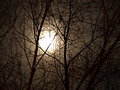 ghost of a moon