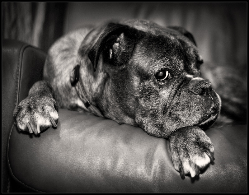 RIP Tuff (1997-2010)