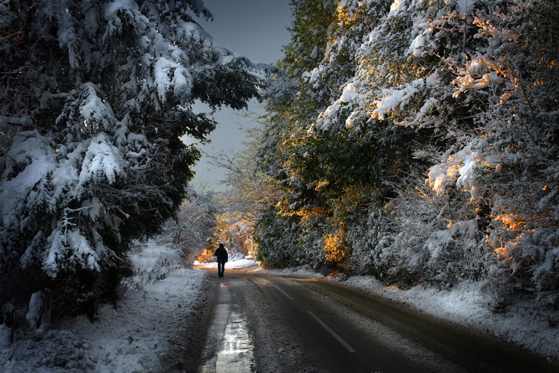 A winter's walk