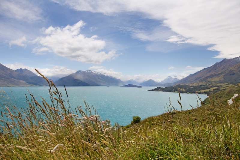 new zealand