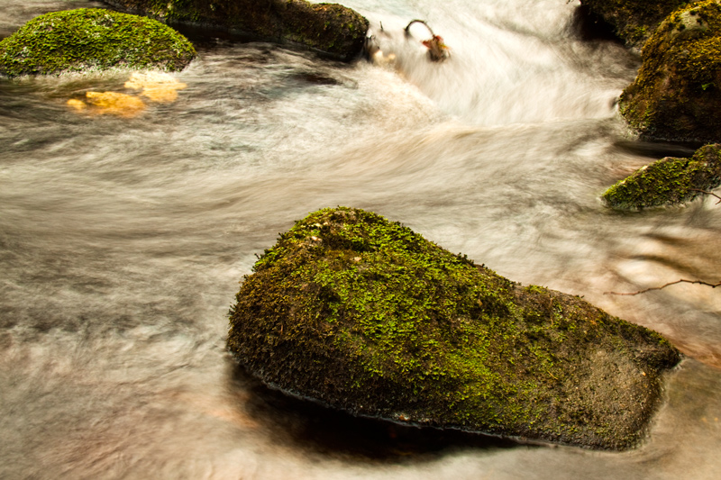 Craggy Mossy Rock