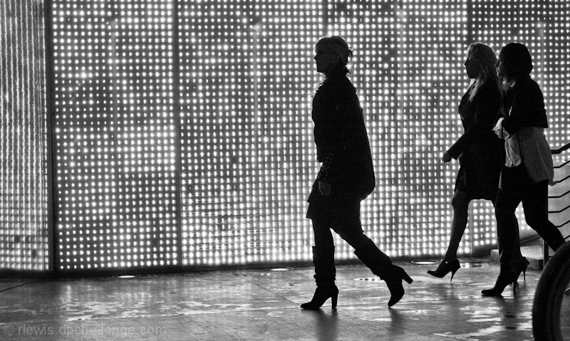 Busy Life in Silhouette