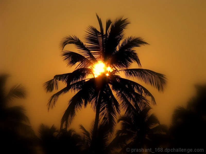 sunrise in GOA