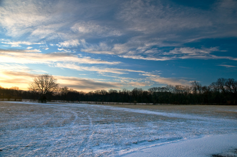 Frozen Ranch