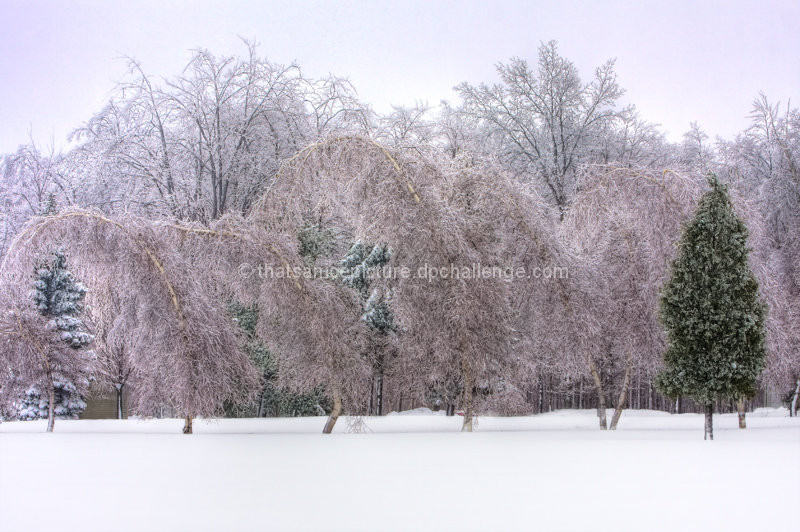 24 Inches Of Snow with 1 Inch Of  Ice