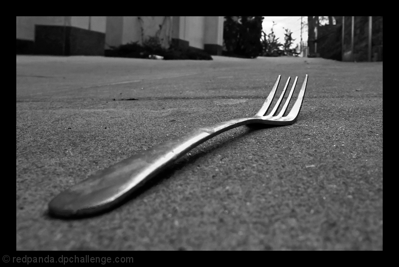 Fork