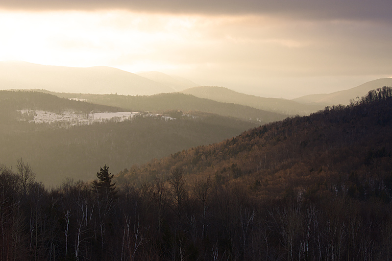 Morning Light