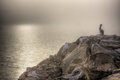 The Lookout