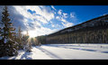 Winter Wonderland