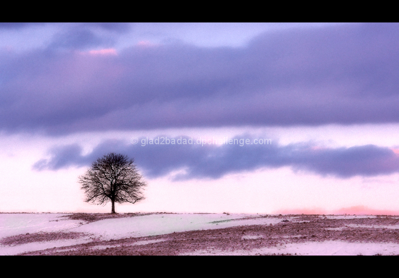 Colors of a Winter Morning