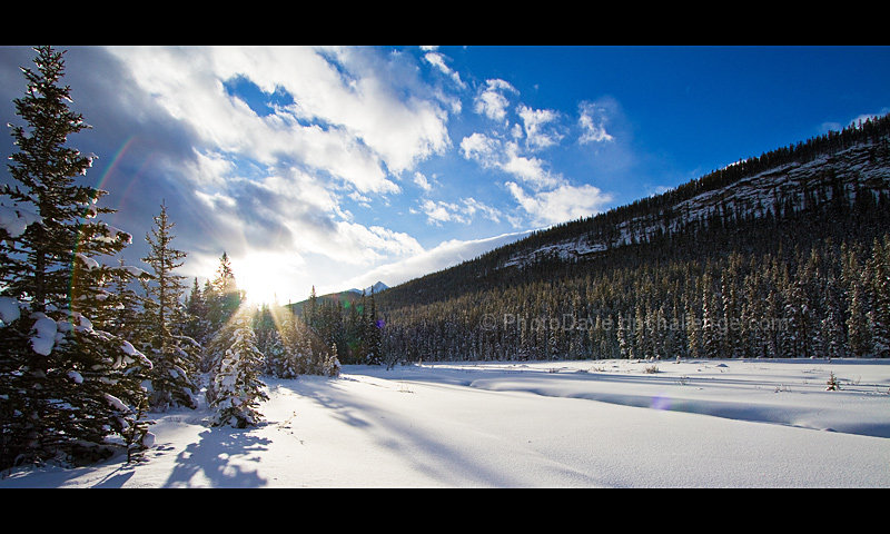 Winter Wonderland