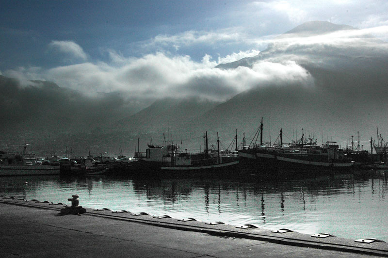 Harbour Morning