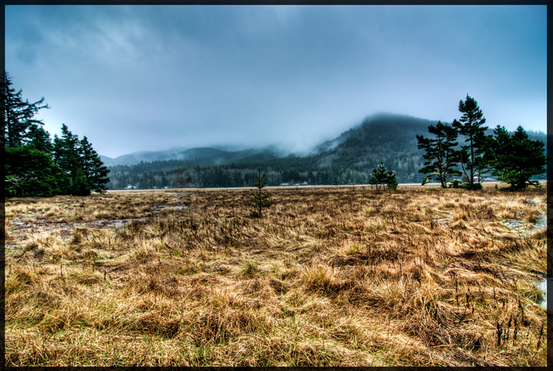 Whalen Island