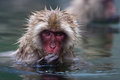 Bath Time