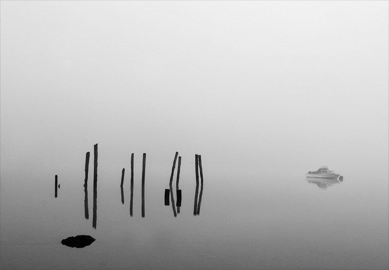 In the Misty Morning