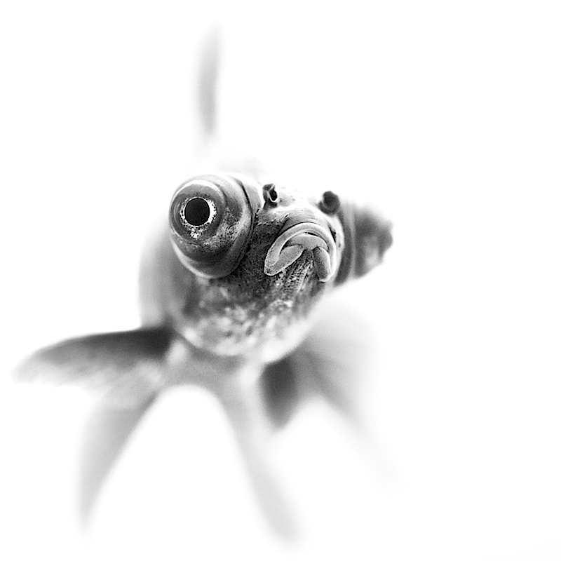 I'm ready for my closeup!