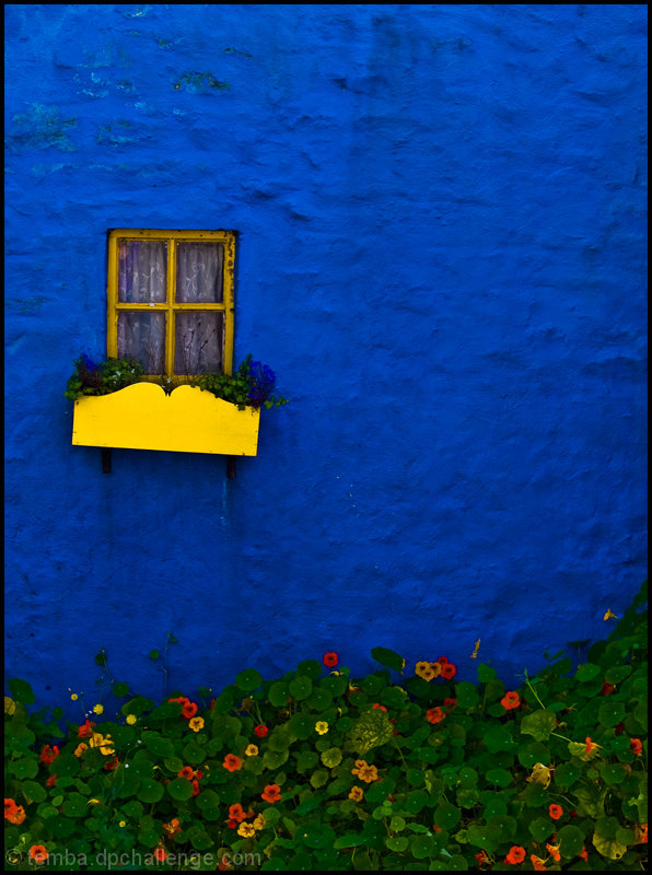 Window Box
