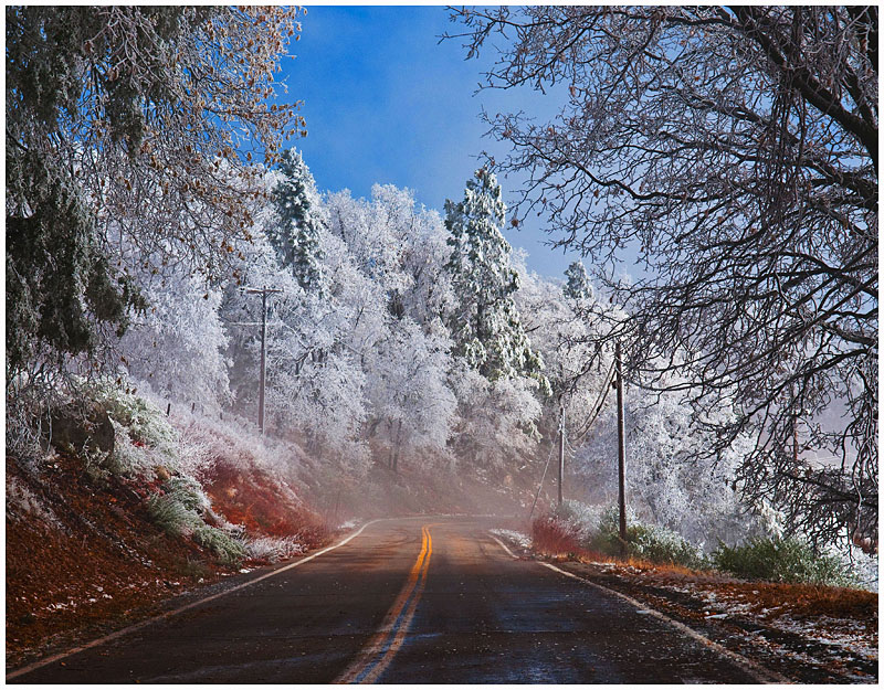 ROAD IN THE WINTER