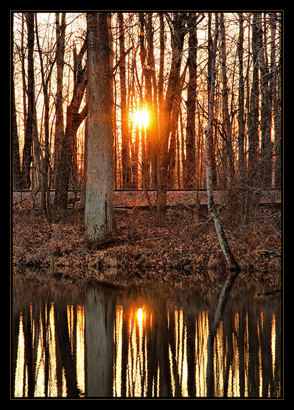 Winter Reflections