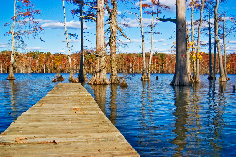 Horseshoe Lake Refuge