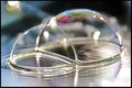 Double Bubble