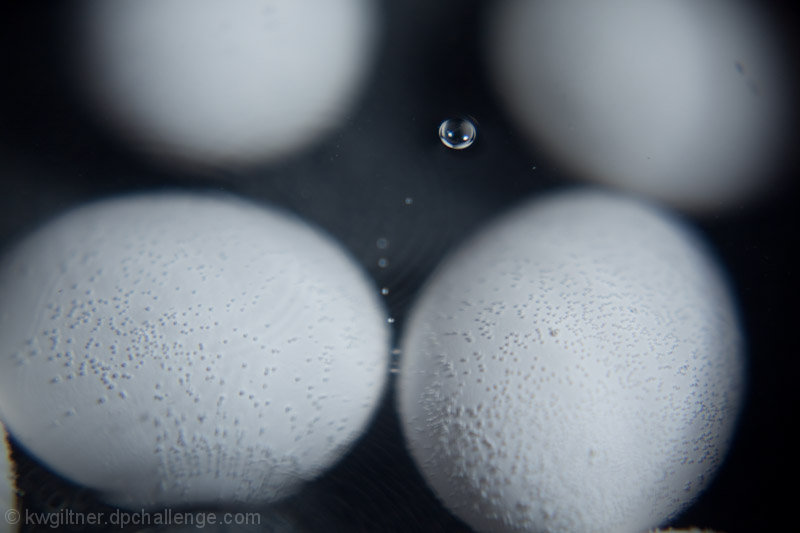 Eggs Bubbly