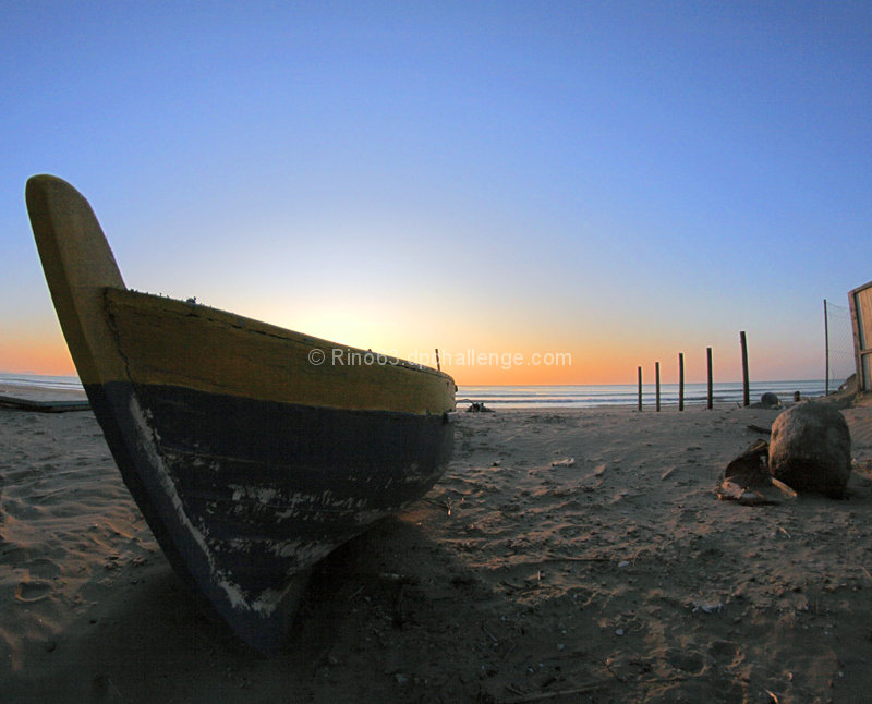A delicate sunset in winter