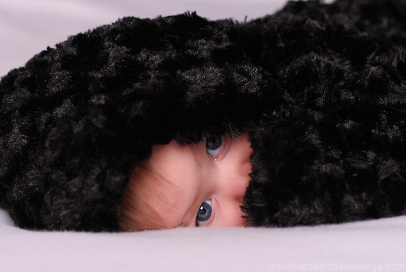 Baby Blues