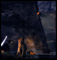 Tangerine Toss