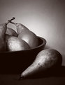 Still Life with Pears