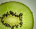 Kiwi Stilllife