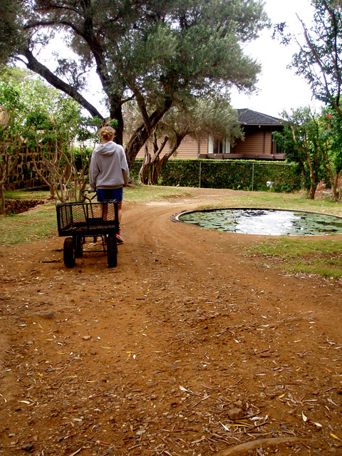 Cart Road