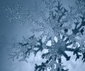 Ice Crystal Art