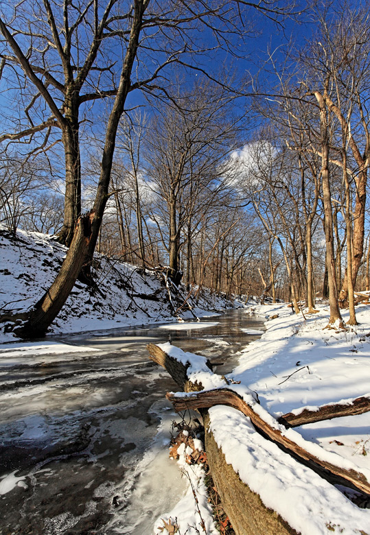 Winter's Light