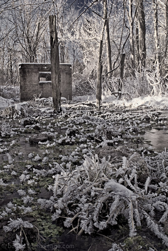 Homestead Springs
