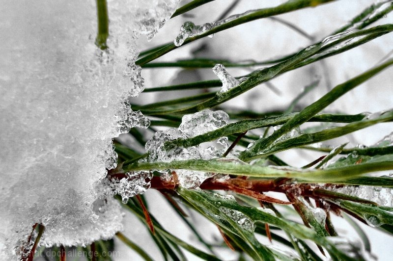 Winter Storm Warning