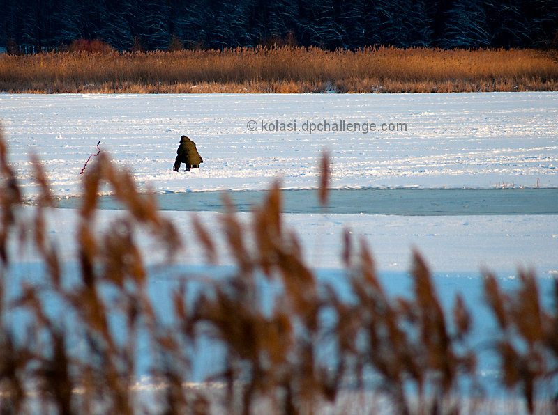 the fisherman