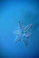 Snowflake on Blue