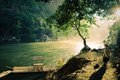 Alone with Nature