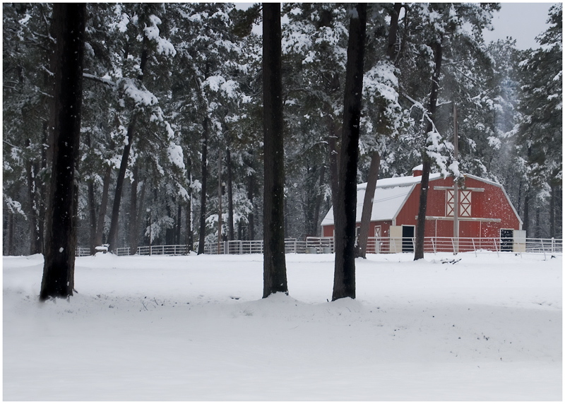 Winter Rhapsody