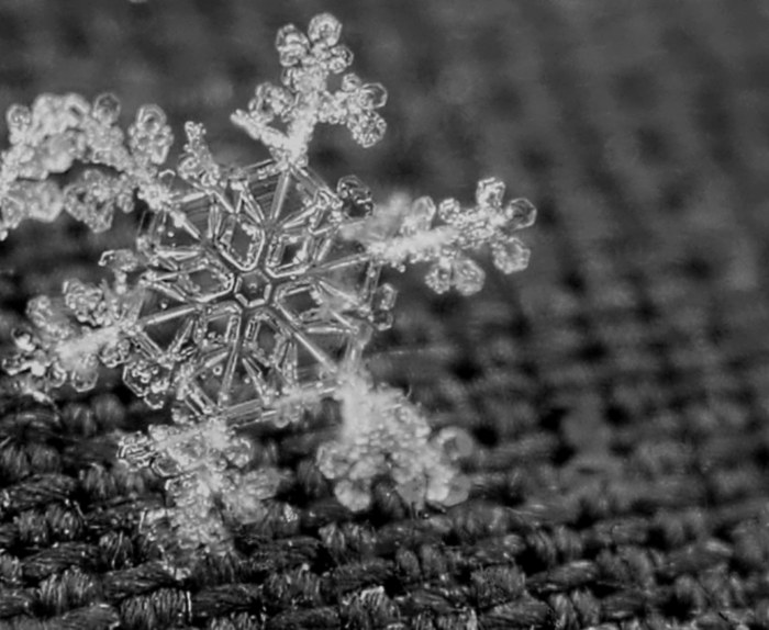 Crystalline Symmetry