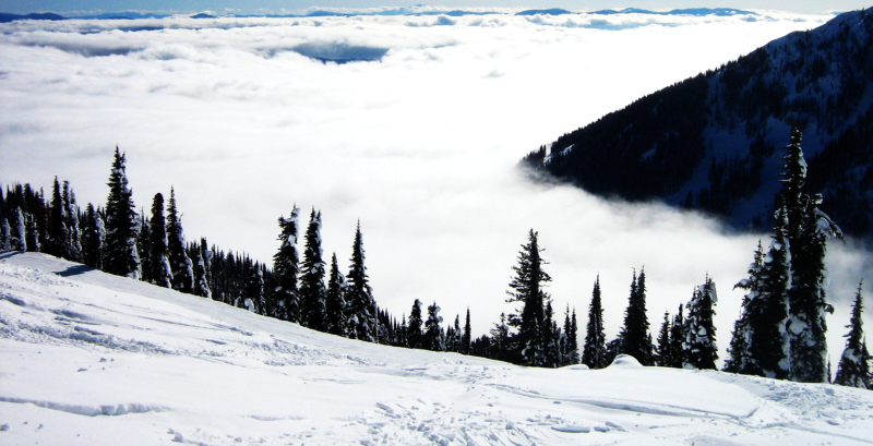 A Sea of Clouds