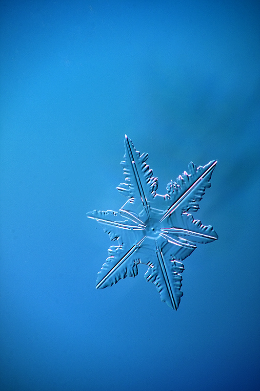 Snowflake on Blue