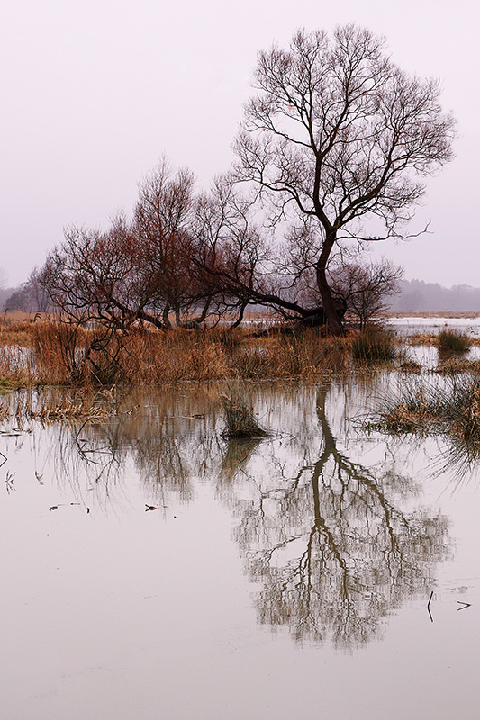 Waterlogged...