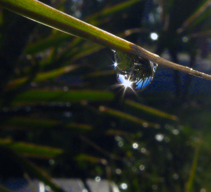 refracted sunrise and bokeh