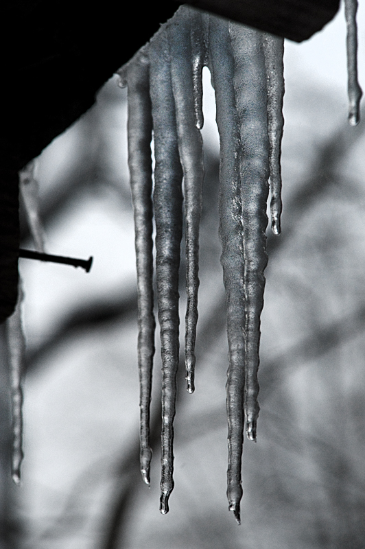 Winter Gothic