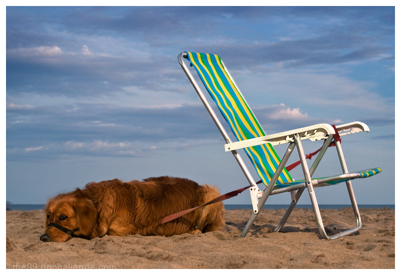 I Don&acute;t Like this Chair
