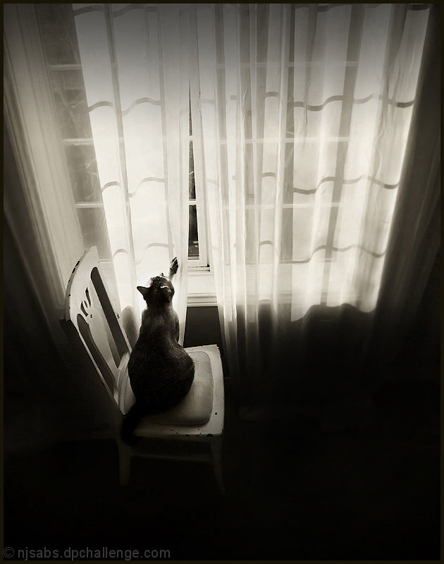 Chairs - Useful for Reaching New Heights