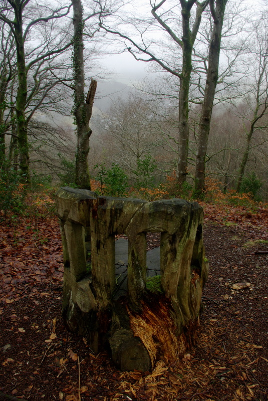 Woodland Throne