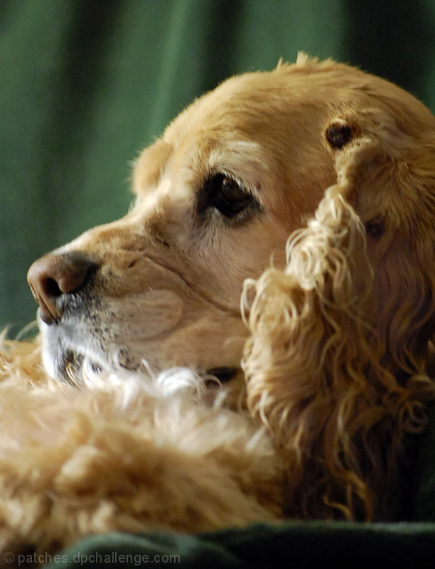 The Love of Annie